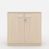 Tủ Đựng Tài Liệu Văn Phòng Đa Năng TW33013