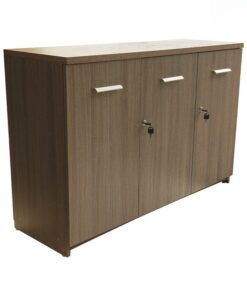Tủ tài liệu siêu bền TW33009 - Ảnh 2