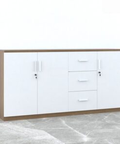Tủ tài liệu gỗ Melamine TW32998 - Ảnh 2