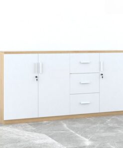 Tủ tài liệu gỗ Melamine TW32998 - Ảnh 5