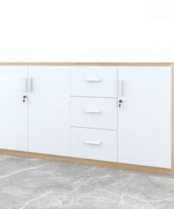 Tủ tài liệu gỗ Melamine TW32998 - Ảnh 6
