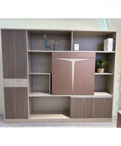 Tủ lưu trữ cao cấp LV DD33093 - Ảnh 2