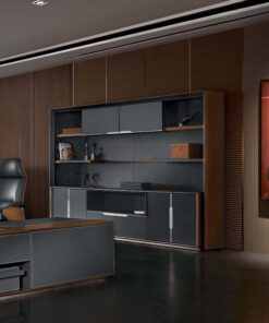 Tủ văn phòng cao cấp Bantic BT-02C, E1 - DD33067