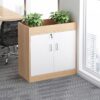 Tủ đứng trang trí hiện đại SKU DT33196