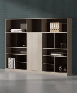 Tủ hồ sơ tài liệu phòng giám đốc sang trọng ANETO DD33178