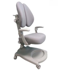 Ghế Chống Gù Cao Cấp EC36348