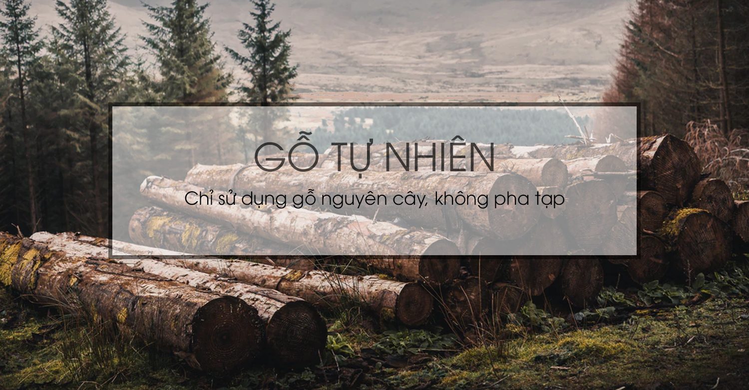 aneto.vn - Nội Thất Văn Phòng