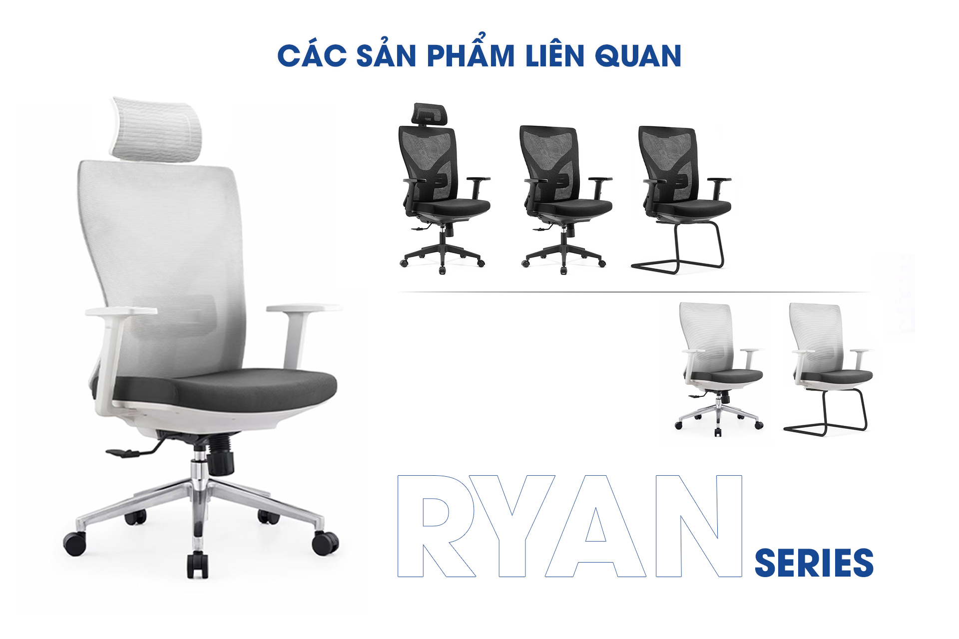 Vách ngăn gỗ kính OP32010 aneto.vn - Nội Thất Văn Phòng